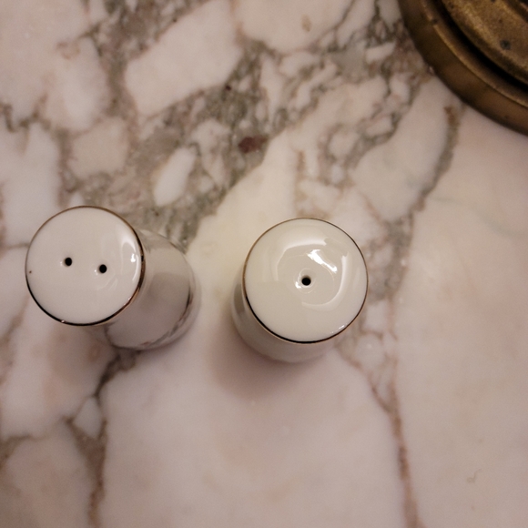 Vintage Holly Salt and Pepper Shakers made in Japan - Picture 2 of 3